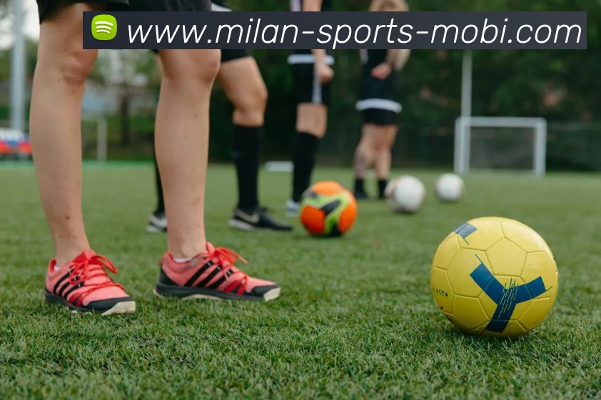 米兰体育APP 封面图